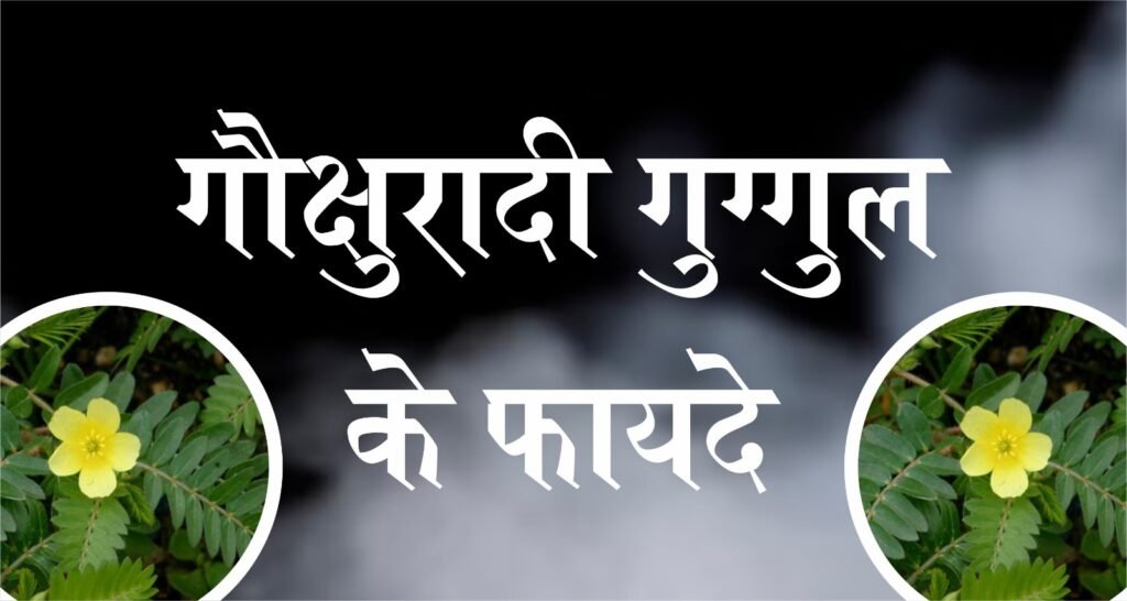 Gokshuradi Guggulu Uses in Hindi