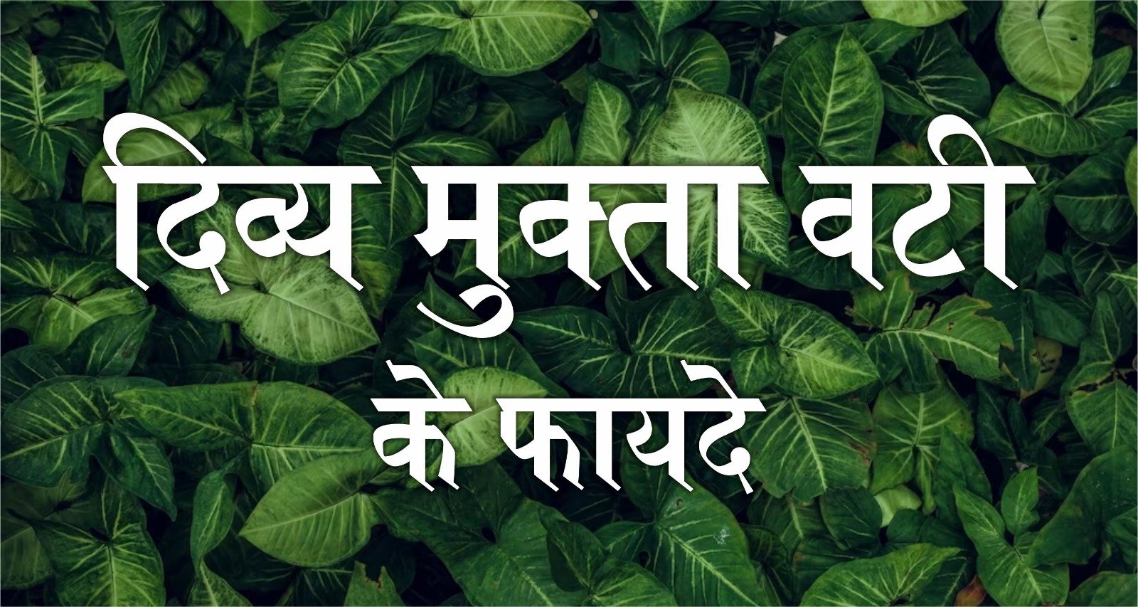 Divya Mukta Vati Benefits in Hindi